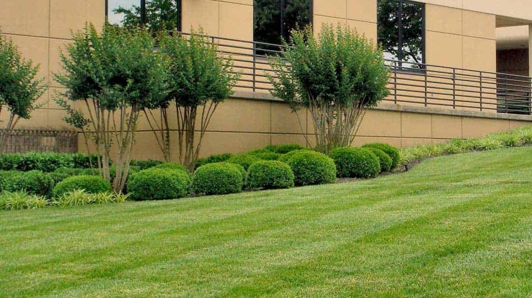 commercial landscape maintenance channahon